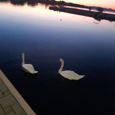 Apartman Barbir ซูโกชัน ภายนอก รูปภาพ