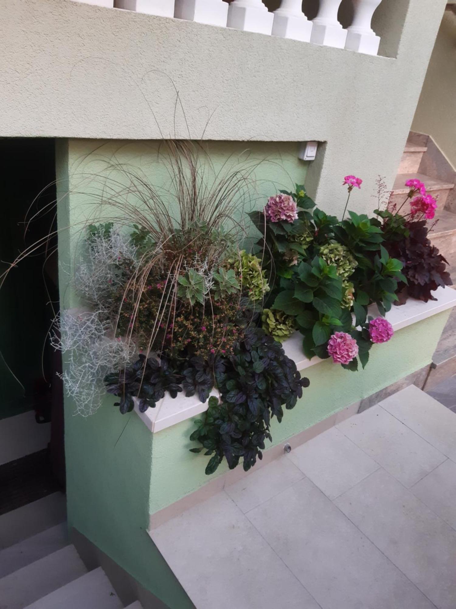 Apartman Barbir ซูโกชัน ภายนอก รูปภาพ